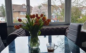Modern 2Bd Flat